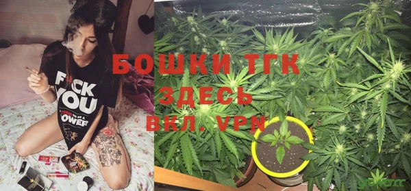 мяу мяу мука Баксан
