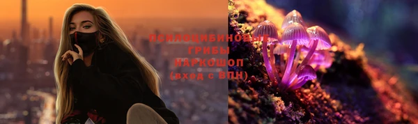 мяу мяу мука Баксан