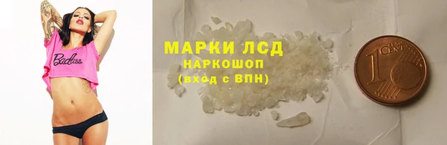 мяу мяу мука Баксан